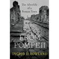 From Pompeii: The Afterlife of a Roman Town - Paperback