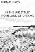 In the Unsettled Homeland of Dreams - Paperback