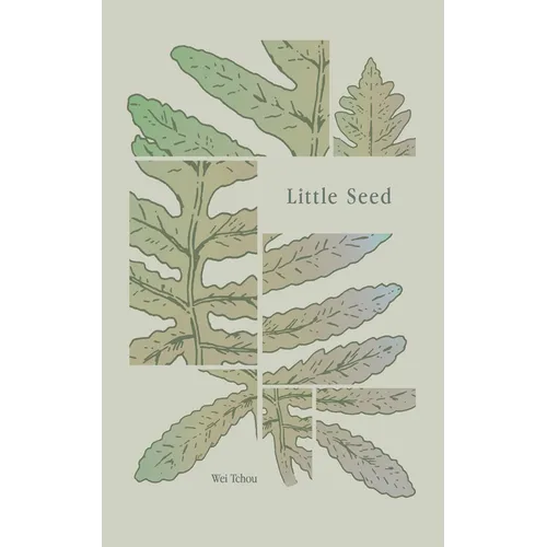 Little Seed - Paperback