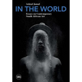 In the World: Essays on Contemporary South African Art - Paperback