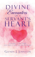 Divine Encounters of a Servant's Heart - Hardcover