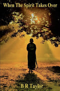 When The Spirit Takes Over - Paperback