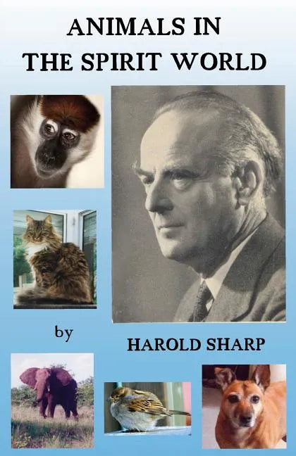 Animals in the Spirit World - Paperback