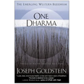 One Dharma: The Emerging Western Buddhism - Paperback