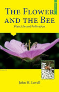 The Flower and the Bee - Paperback