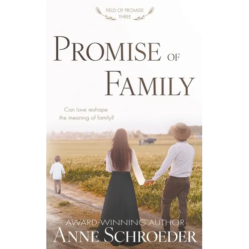 Promise of Family: A Non-Traditional Contemporary Amish Romance - Paperback