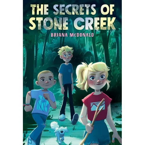 The Secrets of Stone Creek - Paperback