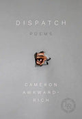 Dispatch: Poems - Paperback