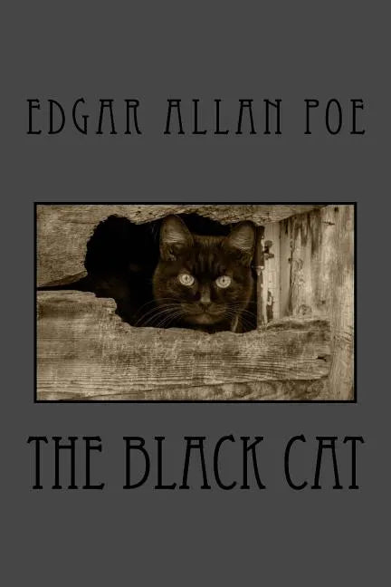 The Black Cat - Paperback