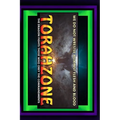 Torahzone: We Do Not Wrestle Against Flesh And Blood - Paperback