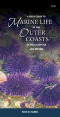 A Field Guide to Marine Life of the Outer Coasts of the Salish Sea and Beyond - Paperback