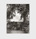 Robert Adams: Cottonwoods - Hardcover