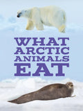 What Arctic Animals Eat: English Edition - Paperback