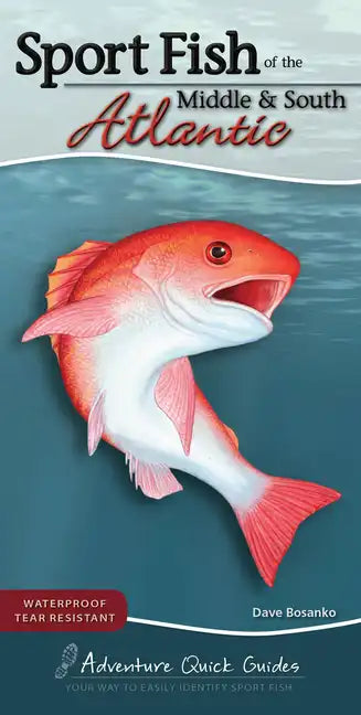 Sport Fish of the Middle & South Atlantic: Including Delaware, Georgia, Maryland, North Carolina, South Carolina, and Virginia - Spiral