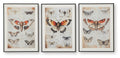 Jossletts - Wall Art Set (Set of 3) - Orange / Black / Ivory