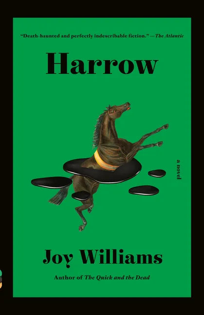 Harrow: A Novel (Kirkus Prize) - Paperback